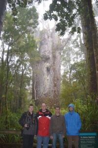 Tami, Mura, Georgi, Toni und Baum. Gemeinsam ca. 2100 Jahre alt.