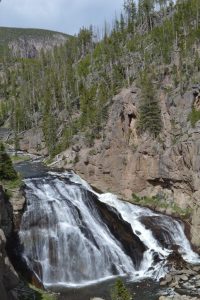 Gibbon Falls im Yellowstone Nationalpark